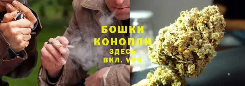 Конопля THC 21%  Александровск 